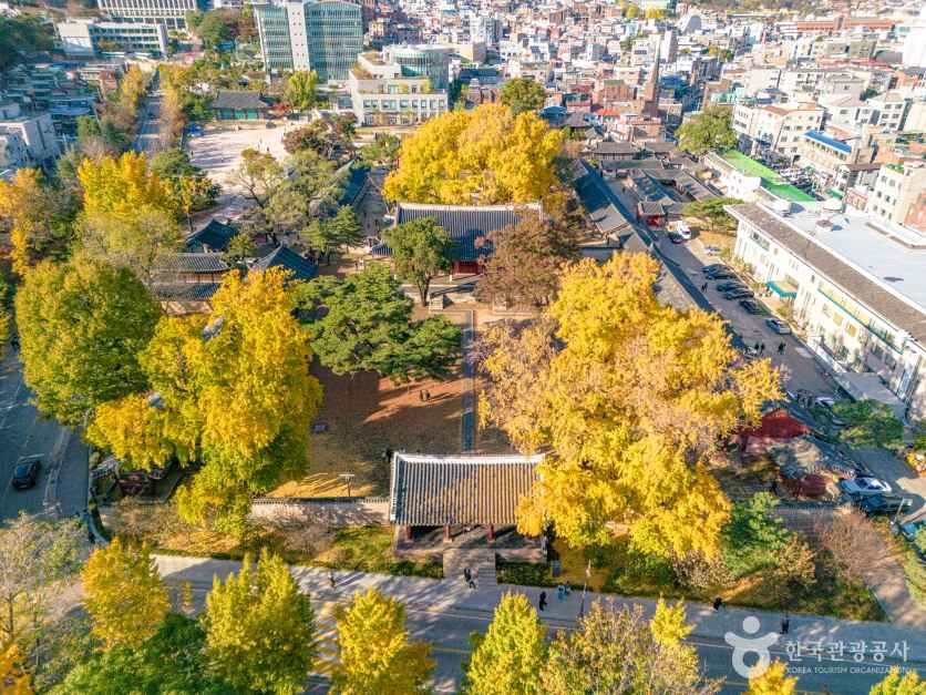 서울 문묘와 성균관 (4)