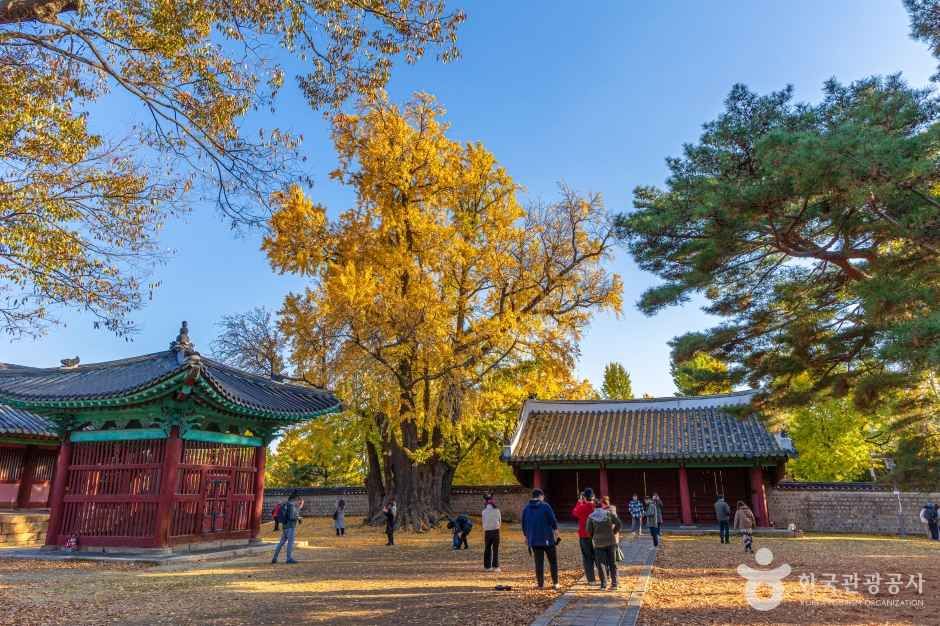 서울 문묘와 성균관 (6)