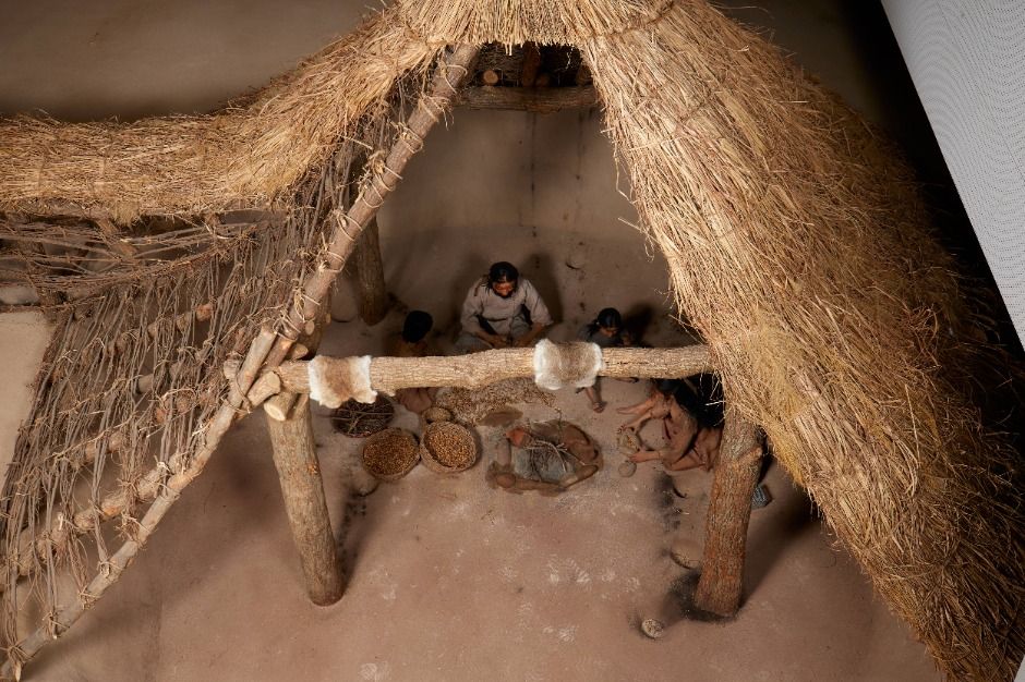 서울_서울 암사동유적 (6)