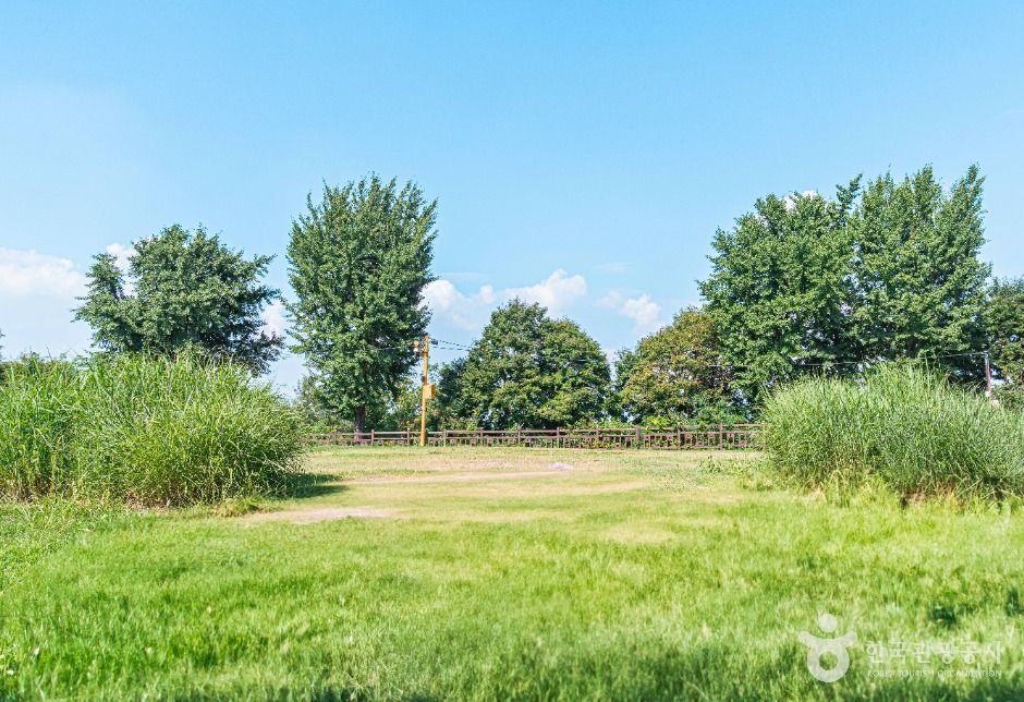 서울 양천고성지