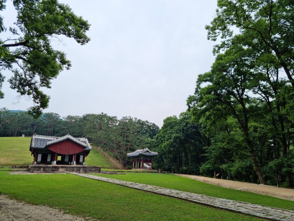 서울 헌릉(태종,원경왕후)과 인릉(순조,순원왕후) [유네스코 세계문화유산] (2)