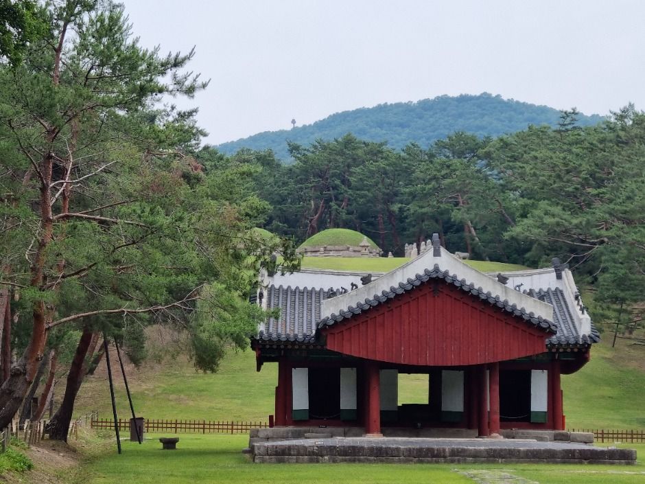 서울 헌릉(태종,원경왕후)과 인릉(순조,순원왕후) [유네스코 세계문화유산] (3)
