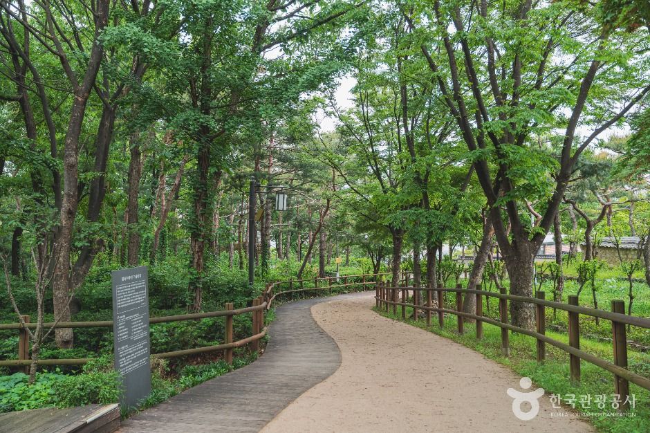 서울_서울 효창공원 (2)