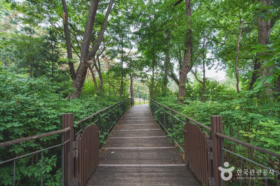 서울_서울 효창공원 (3)