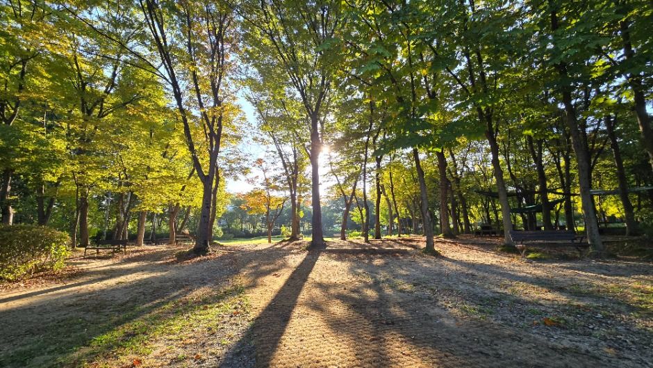 [서울둘레길 10코스] 우면산코스 (1)