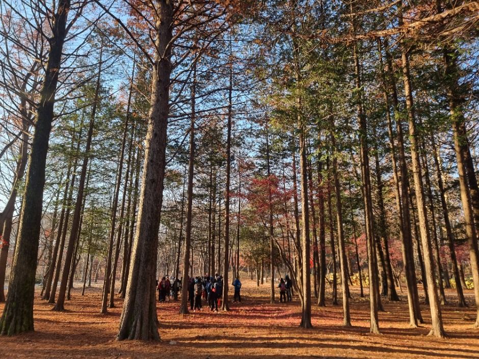 [서울둘레길 10코스] 우면산코스 (5)