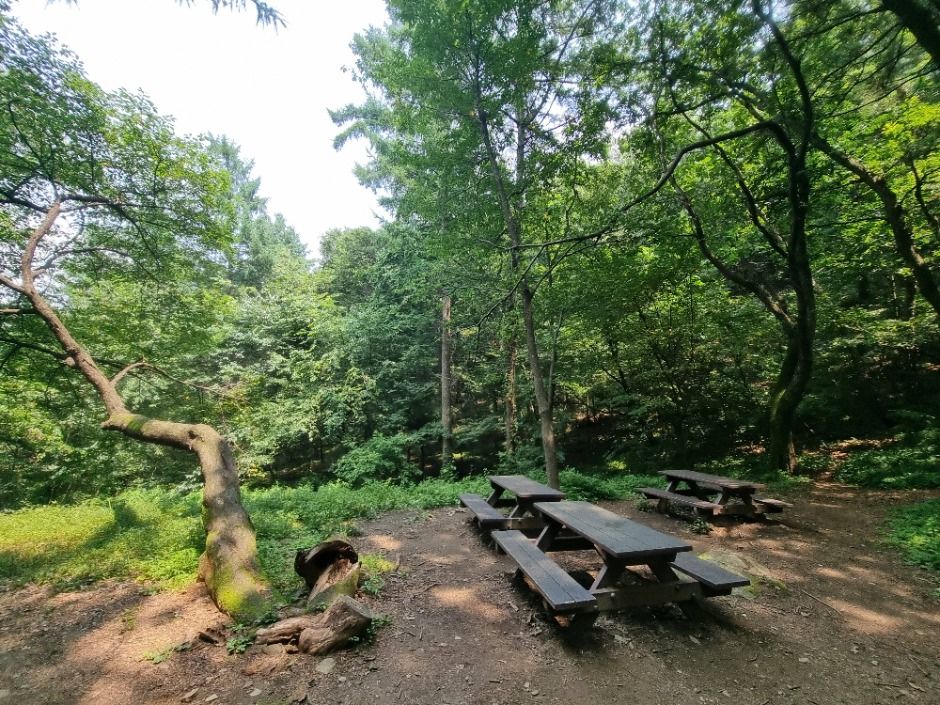 [서울둘레길 10코스] 우면산코스 (6)