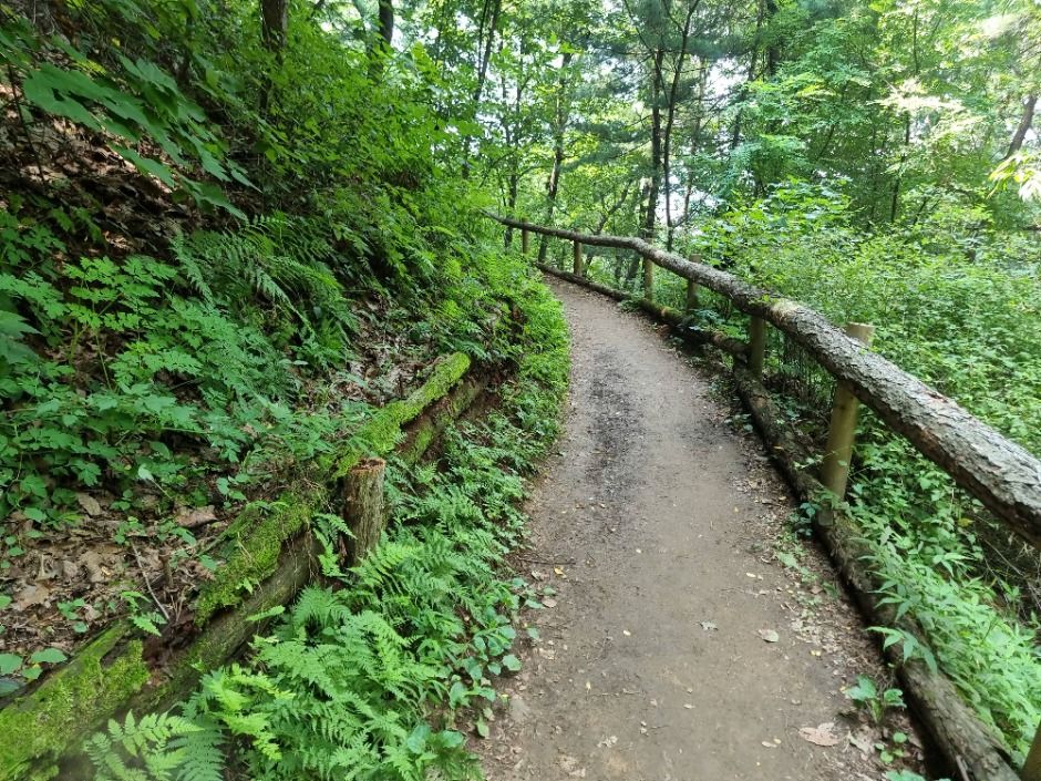 [서울둘레길 10코스] 우면산코스 (9)