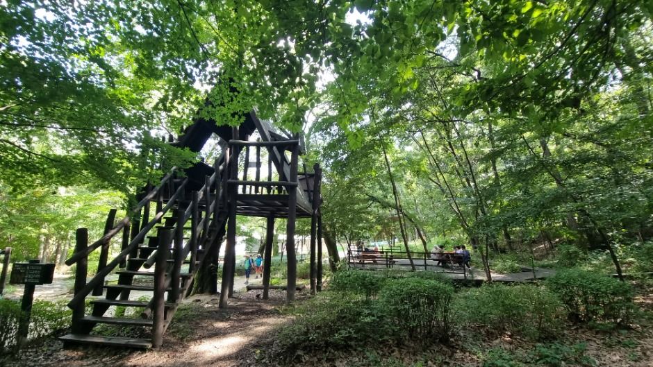 [서울둘레길 11코스] 관악산코스 (12)