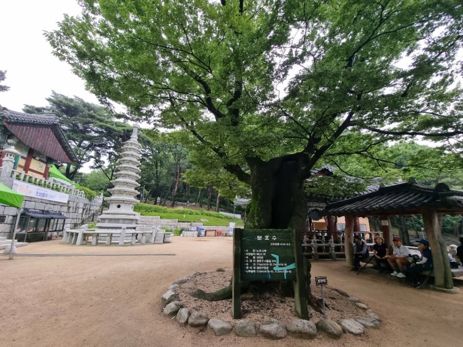 [서울둘레길 12코스] 호암산코스 (1)