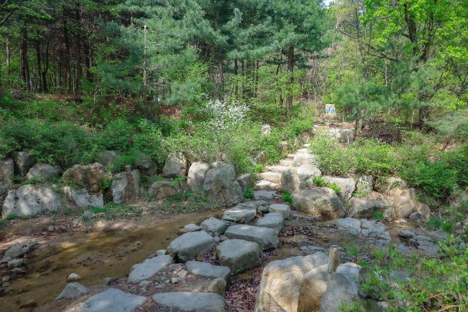 [서울둘레길 12코스] 호암산코스 (6)