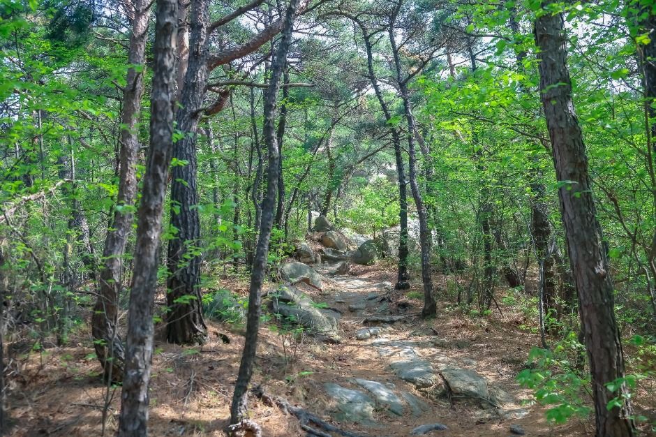 [서울둘레길 12코스] 호암산코스 (7)