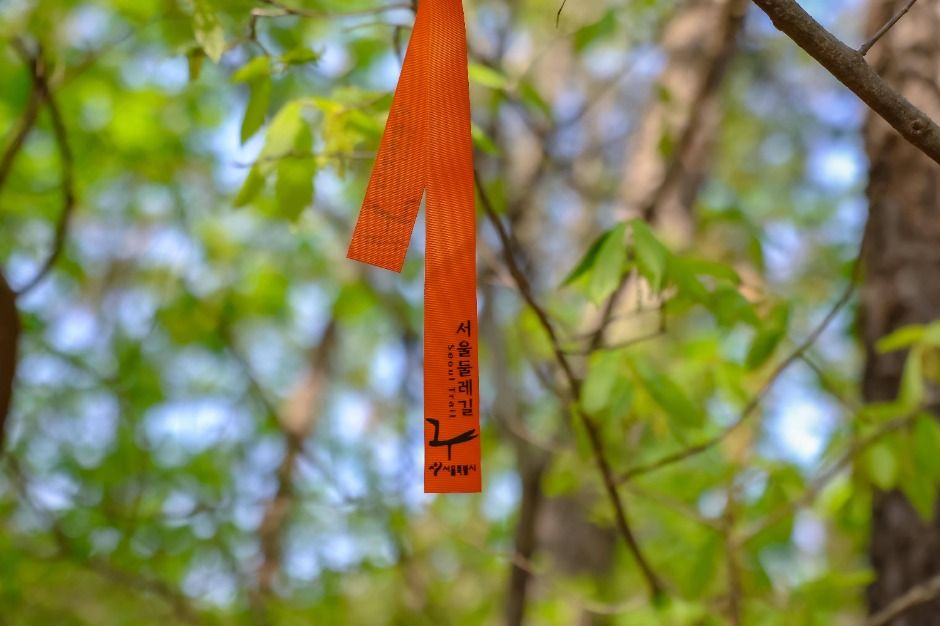 [서울둘레길 12코스] 호암산코스 (13)