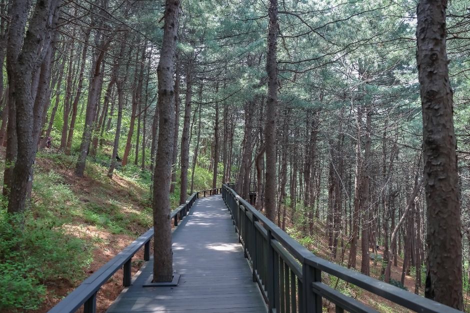 [서울둘레길 12코스] 호암산코스 (15)