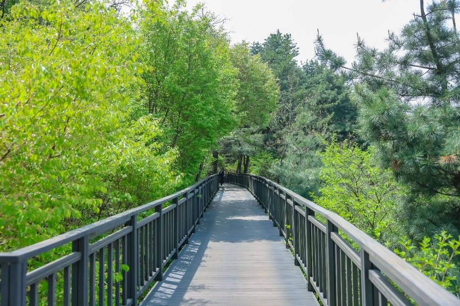 [서울둘레길 12코스] 호암산코스 (16)