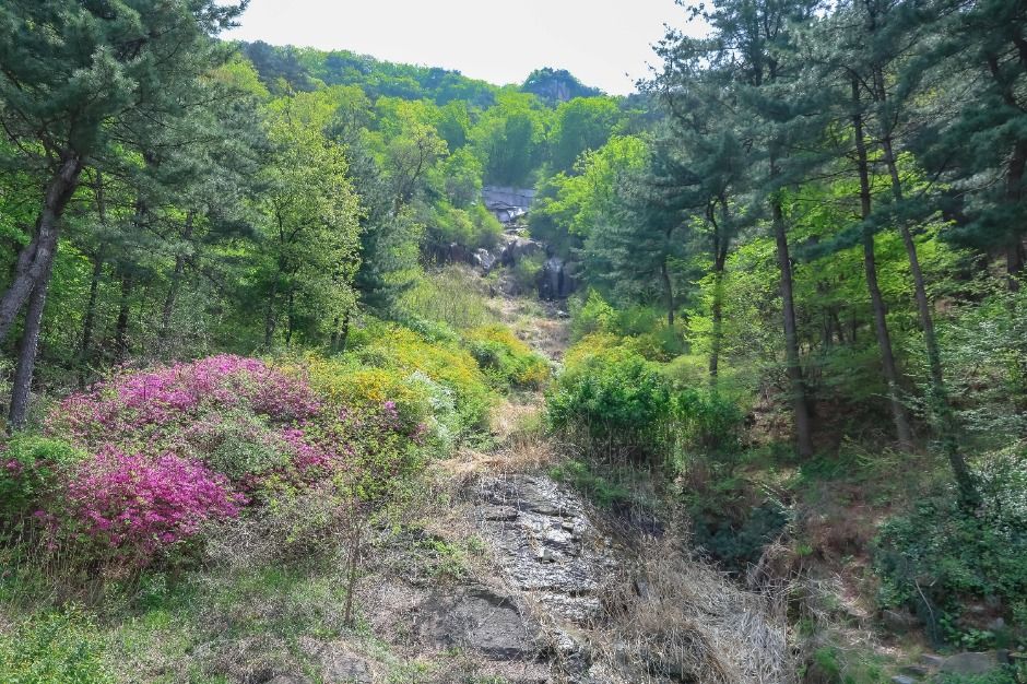 [서울둘레길 12코스] 호암산코스 (17)