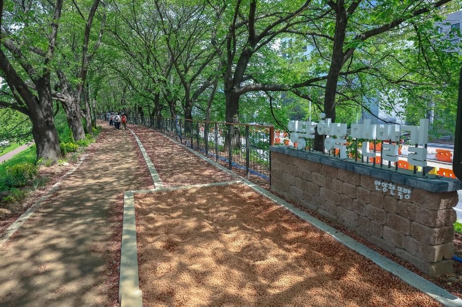 [서울둘레길 14코스] 안양천 하류코스