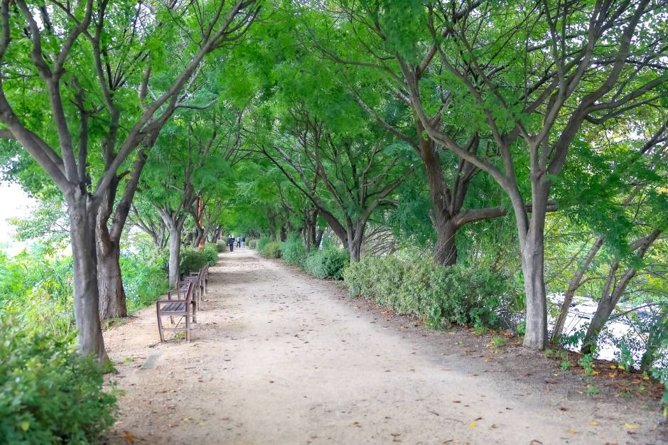 [서울둘레길 14코스] 안양천 하류코스 (6)