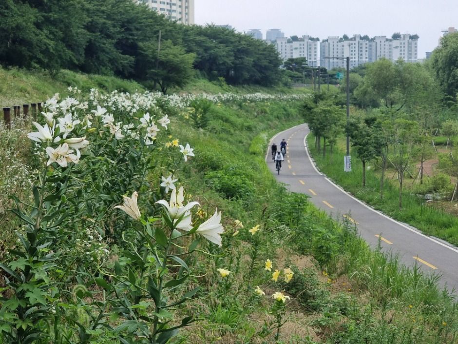 [서울둘레길 14코스] 안양천 하류코스 (8)
