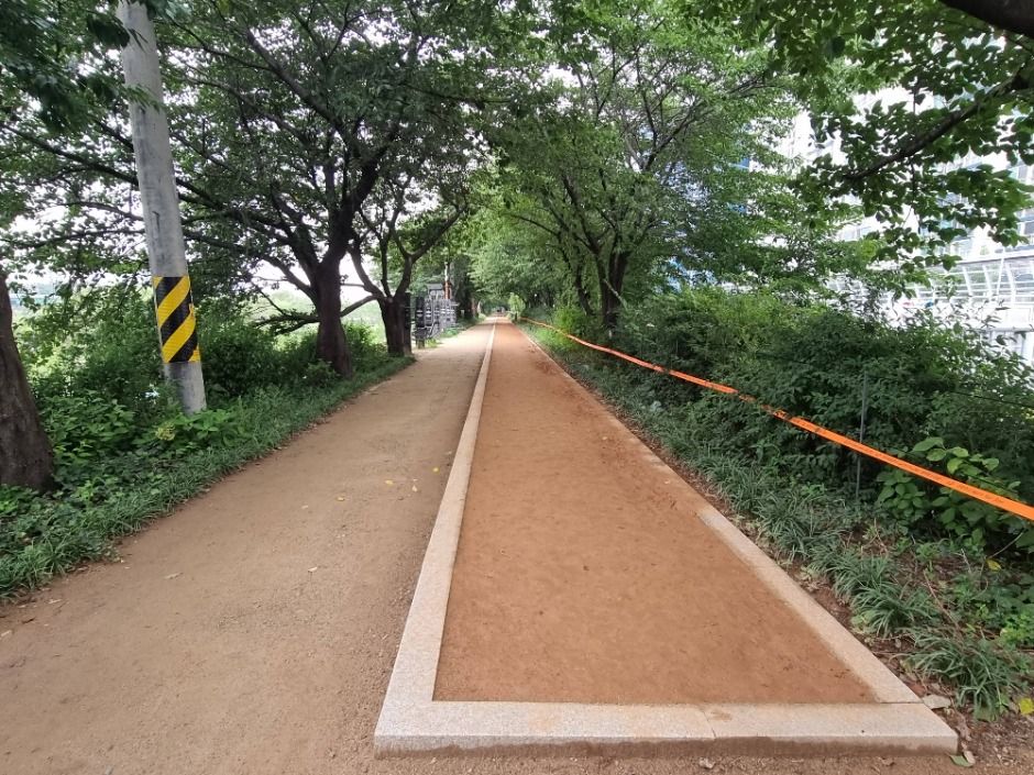 [서울둘레길 14코스] 안양천 하류코스 (9)