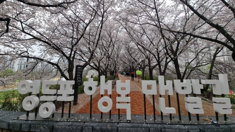 [서울둘레길 14코스] 안양천 하류코스 (11)