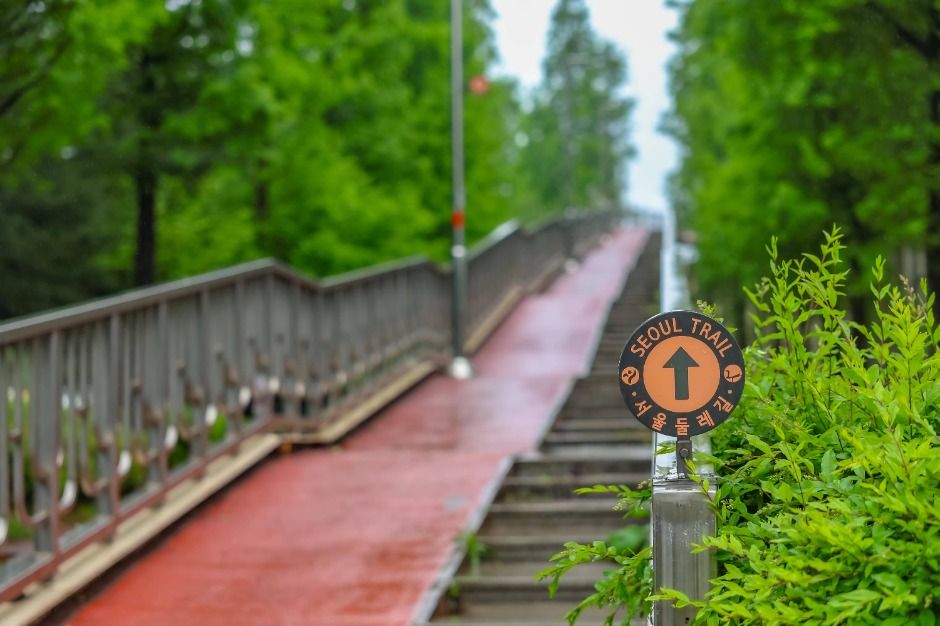 [서울둘레길 15코스] 노을·하늘공원코스