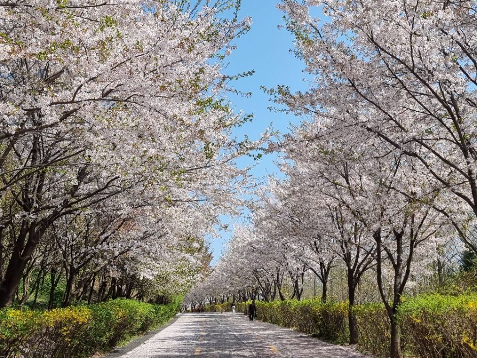 [서울둘레길 15코스] 노을·하늘공원코스 (10)