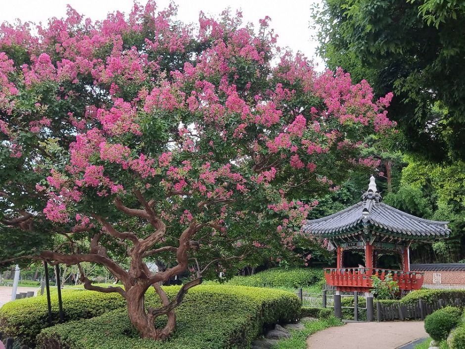 [서울둘레길 15코스] 노을·하늘공원코스 (12)