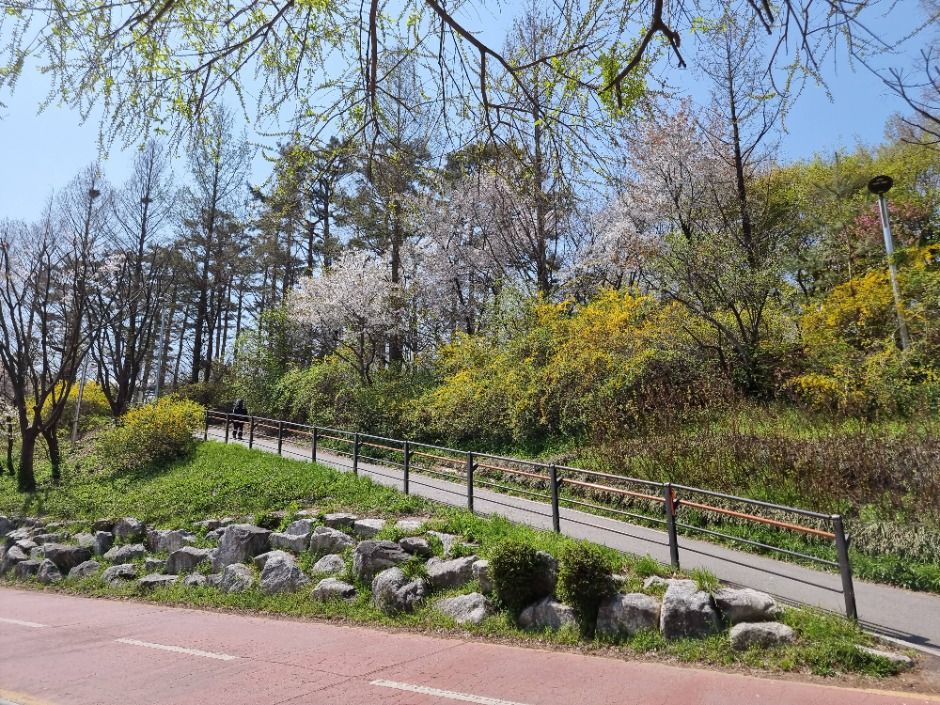 [서울둘레길 15코스] 노을·하늘공원코스 (14)