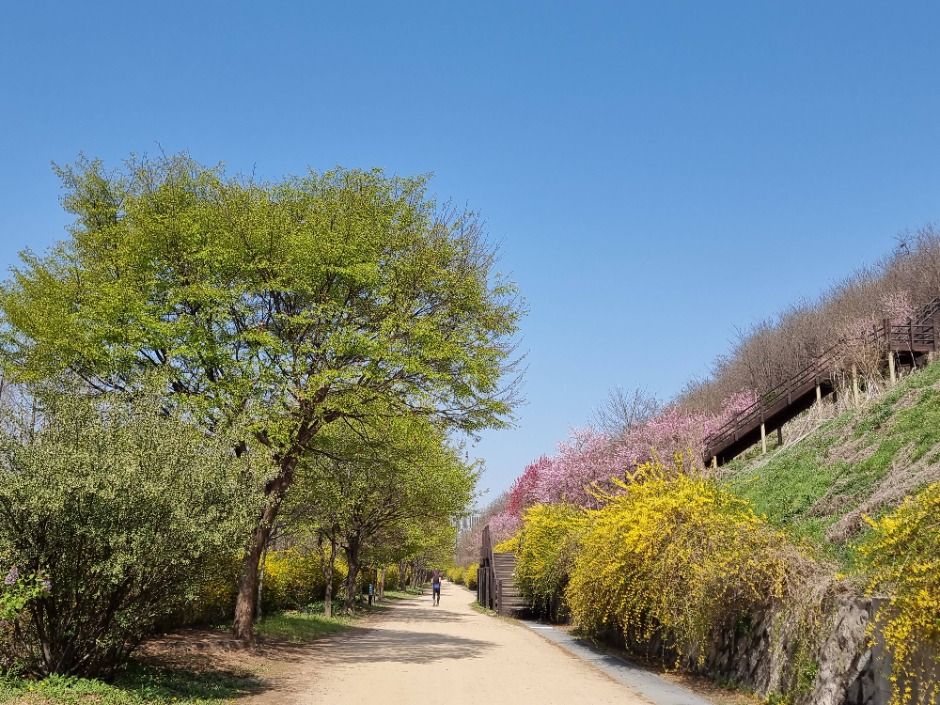 [서울둘레길 15코스] 노을·하늘공원코스 (17)