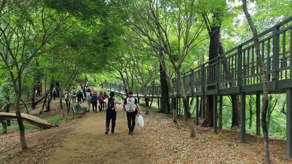 [서울둘레길 16코스] 봉산·앵봉산코스 (4)