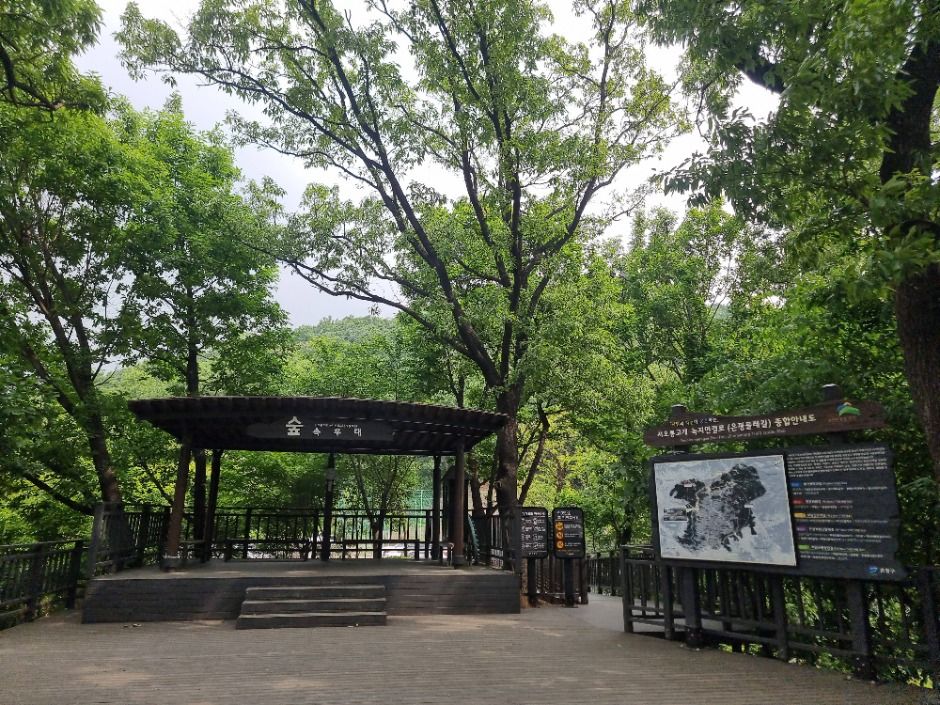 [서울둘레길 16코스] 봉산·앵봉산코스 (7)