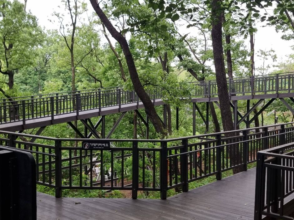 [서울둘레길 16코스] 봉산·앵봉산코스 (8)