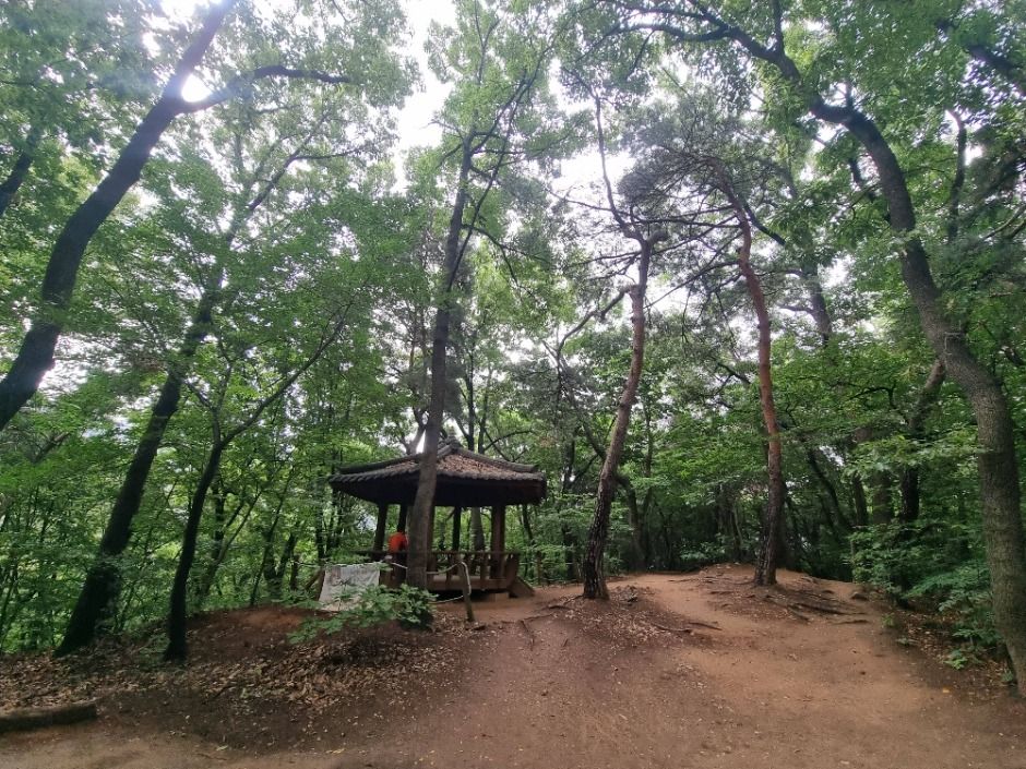 [서울둘레길 17코스] 북한산 은평코스 (3)