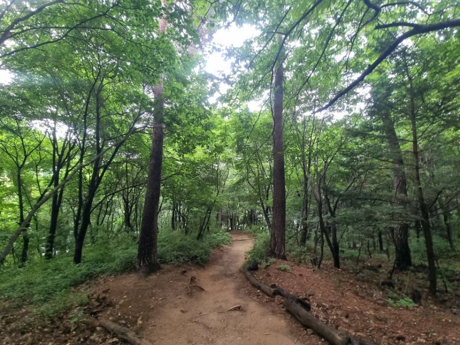 [서울둘레길 17코스] 북한산 은평코스 (4)