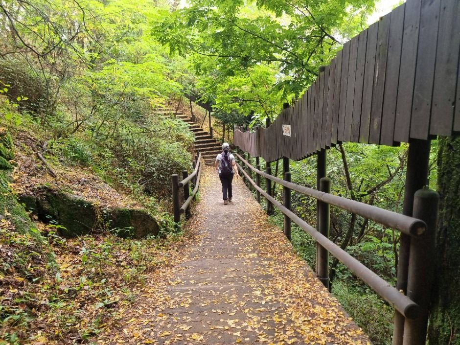 [서울둘레길 17코스] 북한산 은평코스 (7)