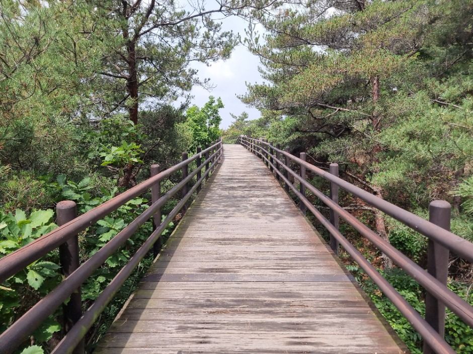 [서울둘레길 17코스] 북한산 은평코스 (8)