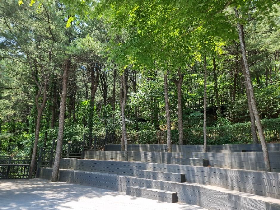 [서울둘레길 19코스] 북한산 성북코스 (5)