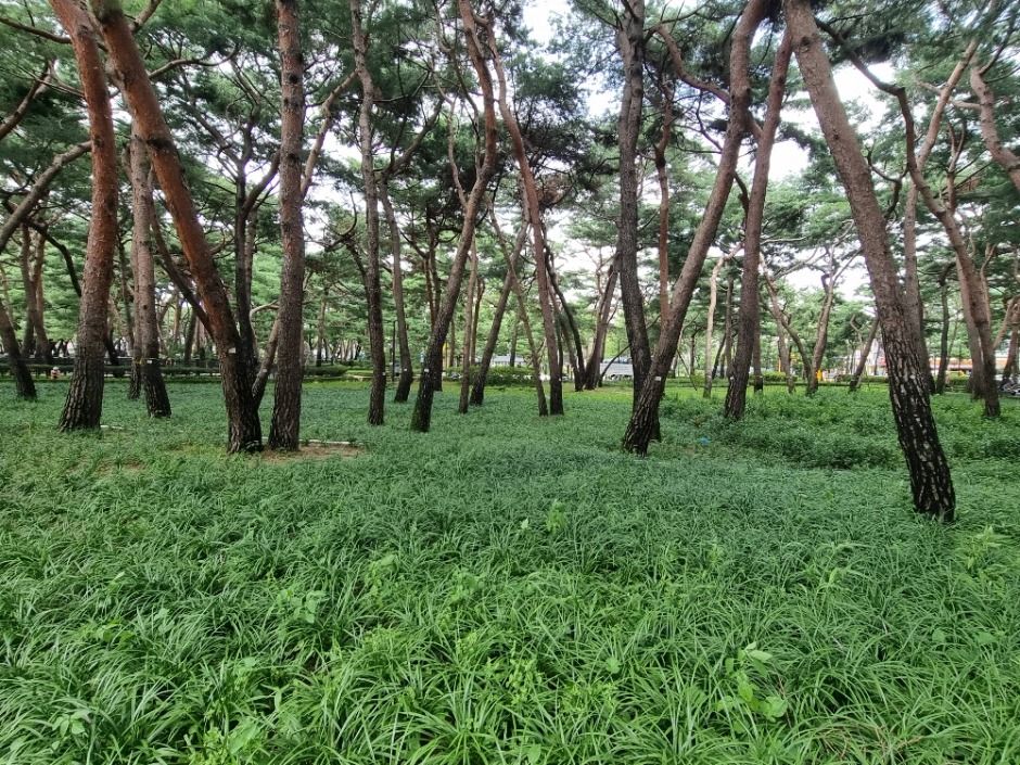 [서울둘레길 20코스] 북한산 강북코스 (14)