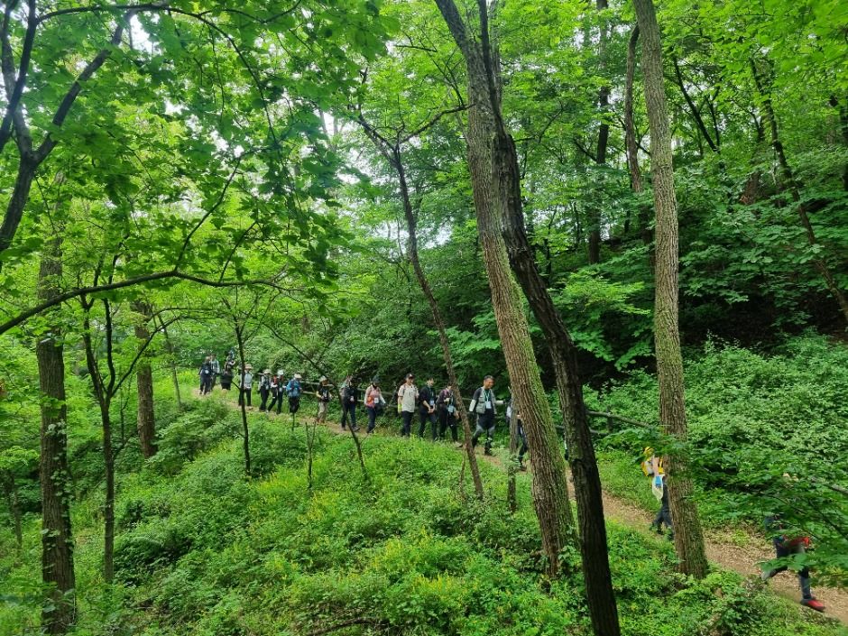 [서울둘레길 20코스] 북한산 강북코스 (5)