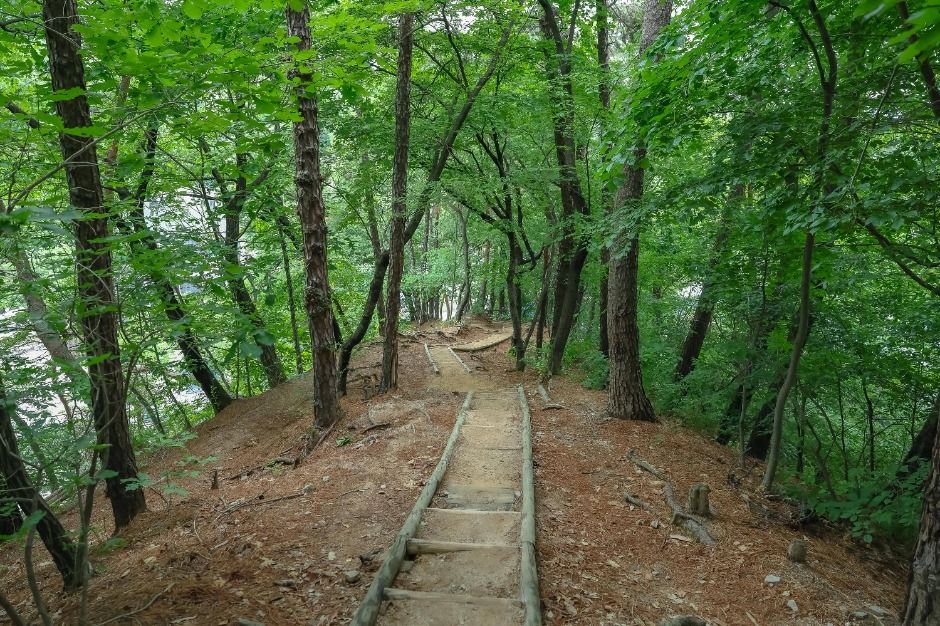 [서울둘레길 20코스] 북한산 강북코스 (6)