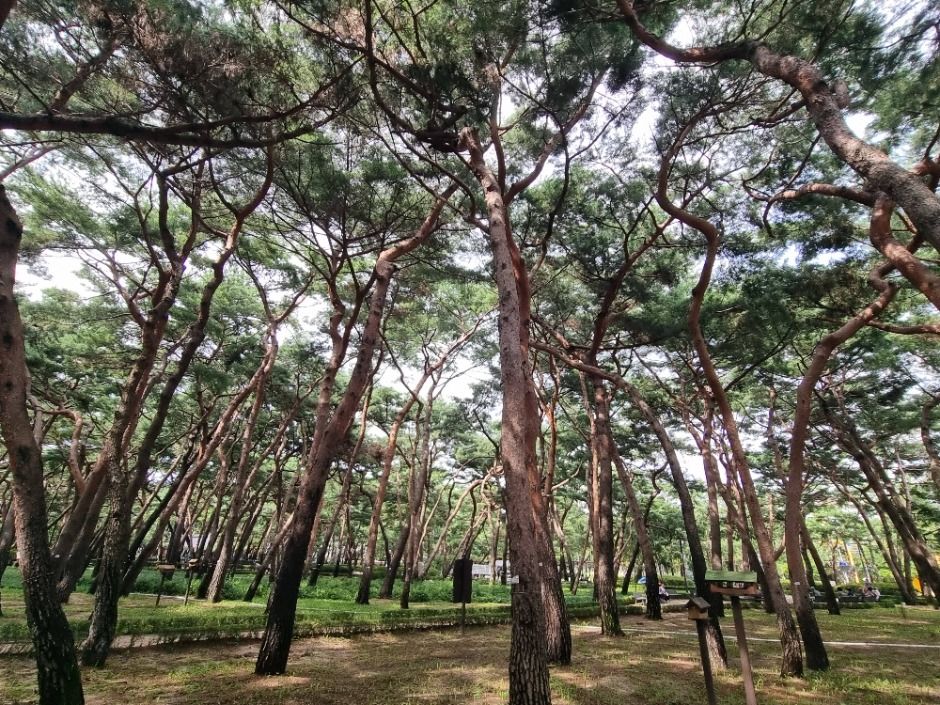 [서울둘레길 20코스] 북한산 강북코스 (13)