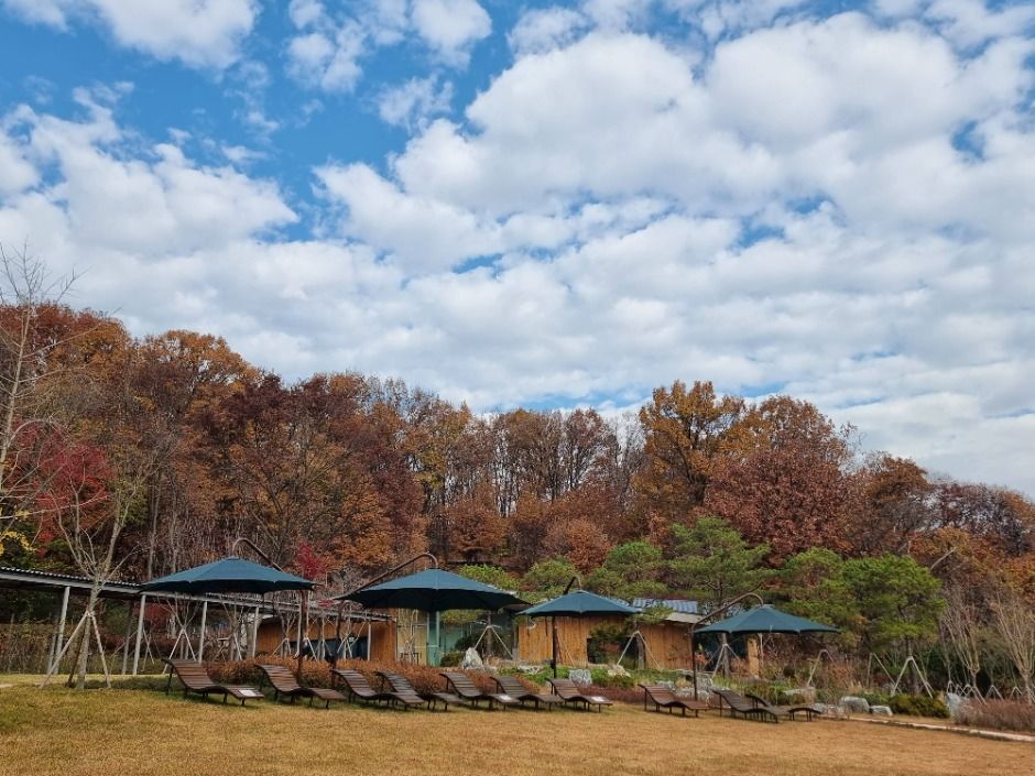 [서울둘레길 21코스] 북한산 도봉코스 (13)