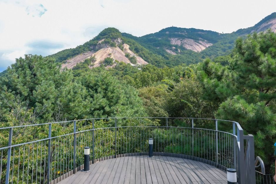 [서울둘레길 3코스] 불암산코스 (6)