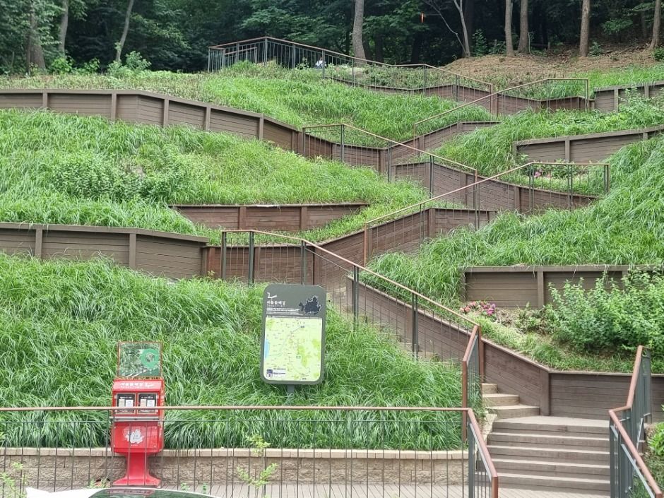 [서울둘레길 9코스] 대모·구룡산코스 (1)