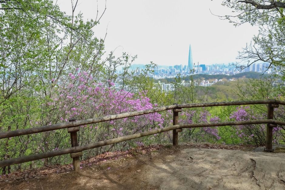 [서울둘레길 9코스] 대모·구룡산코스 (3)