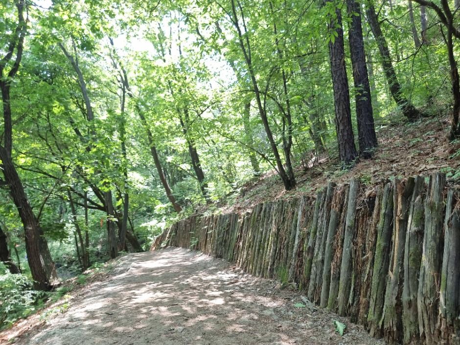 [서울둘레길 9코스] 대모·구룡산코스 (4)