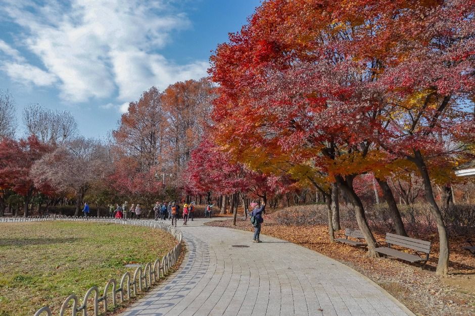 [서울둘레길 9코스] 대모·구룡산코스 (12)