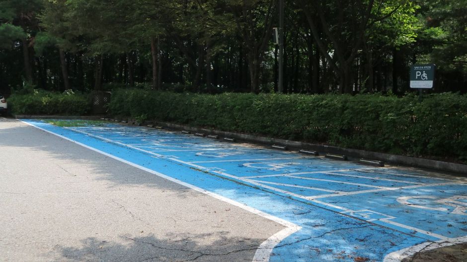 서울숲곤충식물원_장애인 전용 주차장 7면과 국가유공자 2면