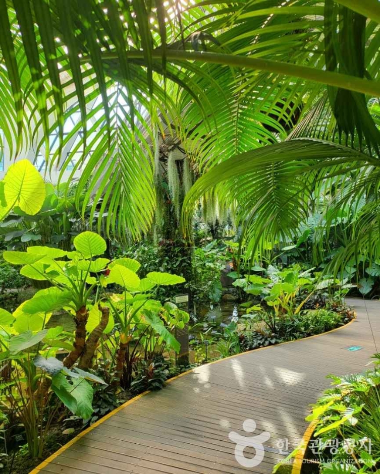 서울식물원 (5)